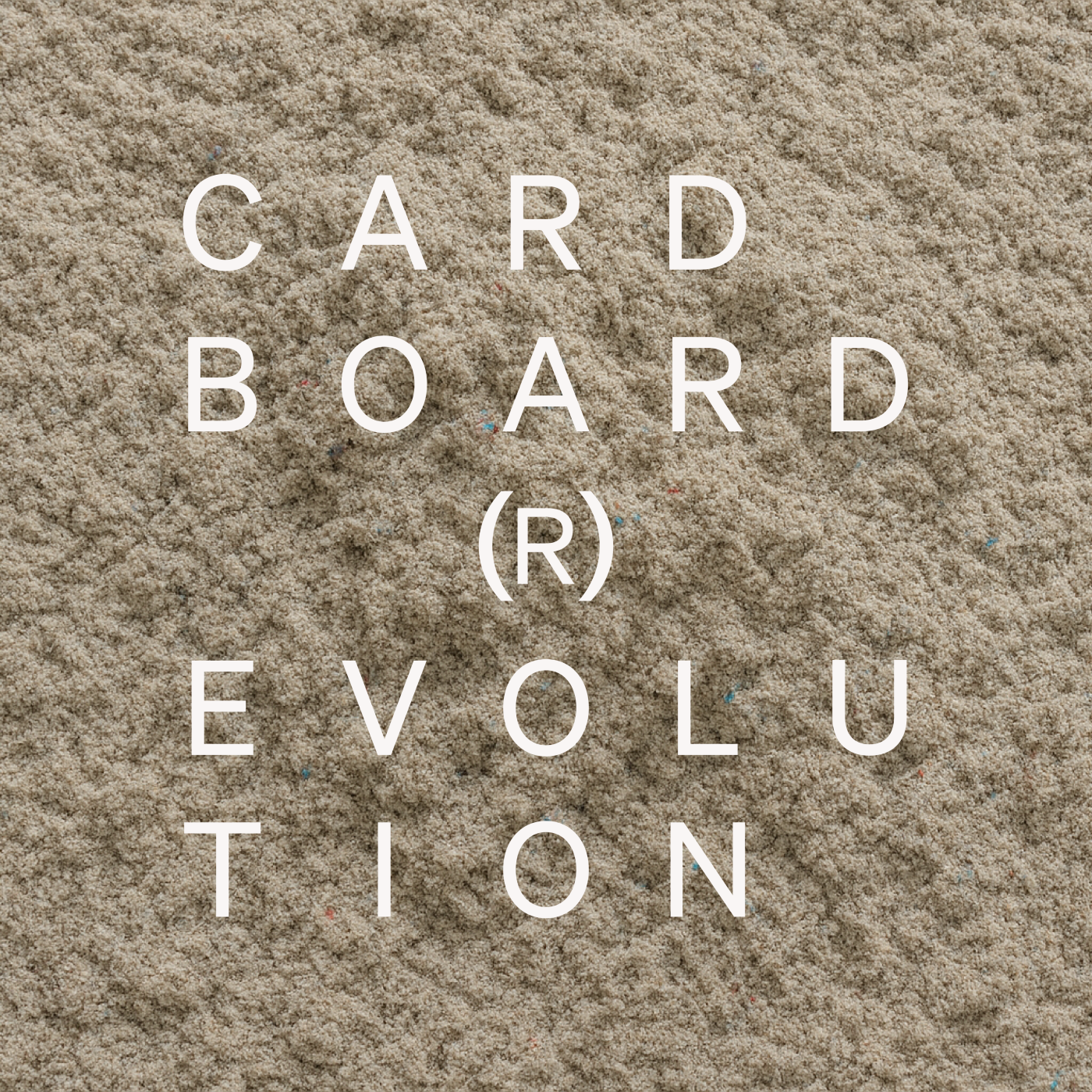 CardboardRevolution_18