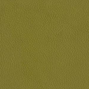Baleri-Italia_catE_Leather_Leather_Brezza_Avocado-616