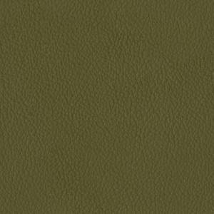 Baleri-Italia_catE_Leather_Leather_Brezza_Avocado-616