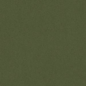 Baleri-Italia_catC_Leather_Eco-leather_Luna_Sea-Kelp-1283