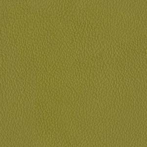 Baleri-Italia_catE_Leather_Leather_Brezza_Cedro-672