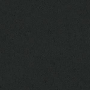 Baleri-Italia_catC_Leather_Eco-leather_Luna_Black-1201