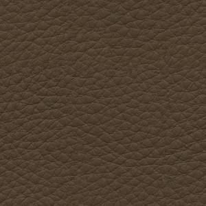 Baleri-Italia_catE_Leather_Leather_Diamante_Sea-Kelp-7264