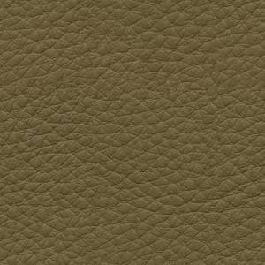 Baleri-Italia_catE_Leather_Leather_Diamante_Sea-Kelp-7264