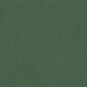 Baleri-Italia_catE_Leather_Leather_Brezza_Muschio-664