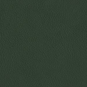 Baleri-Italia_catE_Leather_Leather_Brezza_Muschio-664