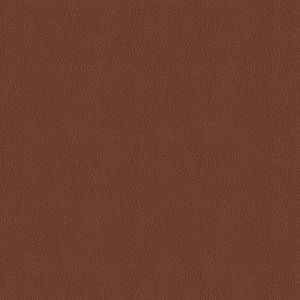 Baleri-Italia_catB_Eco-Leather_Extrema_Sepia-1250