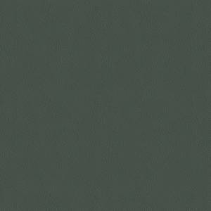 Baleri-Italia_catB_Eco-Leather_Extrema_Primal-Green-1550