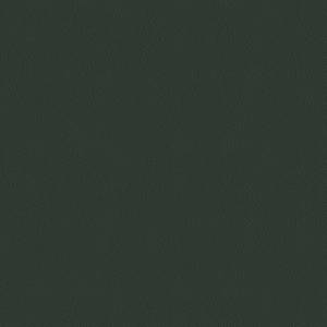 Baleri-Italia_catB_Eco-Leather_Extrema_Primal-Green-1550